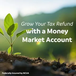 grow your tax refund with a money market account.